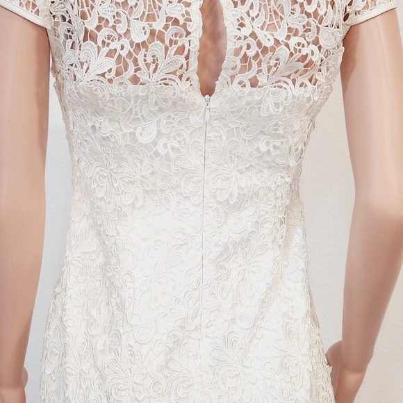 Adrianna PAPELLWhite Cap-Sleeve Illusion Lace Sheath Size 8 - Picture 11 of 16